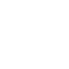 swami gagan icons