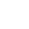 swami gagan icons